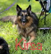 Kirsa 0472