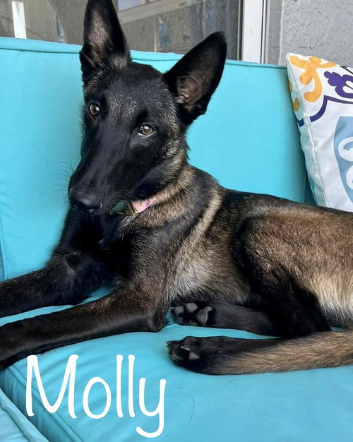 Molly 0526