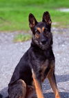 Lady 0634