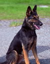 Lady 0634