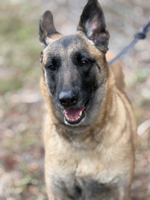 Bella 0649