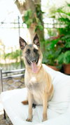 Bella 0649