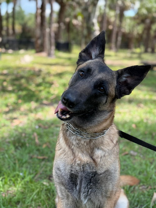 Bella 0649