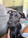 Penny 0655
