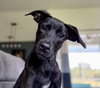 Penny 0655