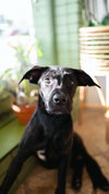 Penny 0655