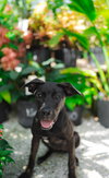 Penny 0655