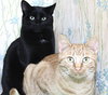 Buster Bonded with Ray Ray - Photo 3