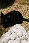 Fred(see Michelle,Veronica) - Photo 3