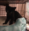 Bonnie bonded Julio - Photo 3