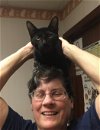 adoptable Cat in macedonia, OH named Gabriel bonded with Gabriela