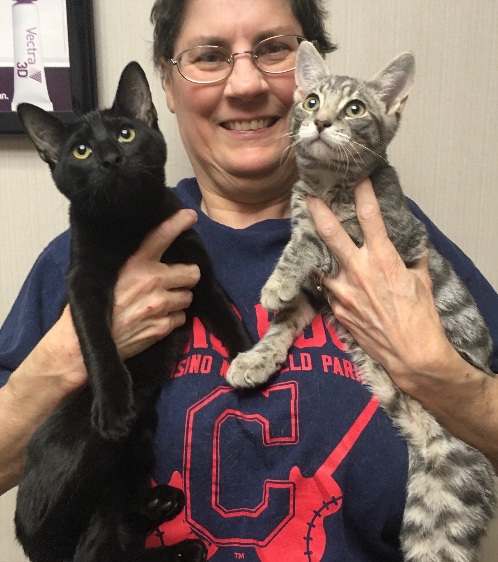 adoptable Cat in Macedonia, OH named Gabriela bonded with Gabriel