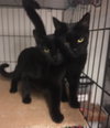 Julio bonded with Bronnie - Photo 5