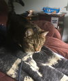 Simon - Photo 2