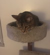 Simon - Photo 3