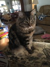 Simon - Photo 4