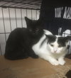 Alexis bonded with Jackie - Photo 3