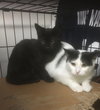 Jackie bonded with Alexis - Photo 2