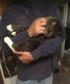 Scooter - Photo 5