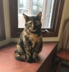 Rhoda - Photo 2