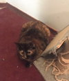 Rhoda - Photo 3