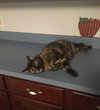 Rhoda - Photo 4
