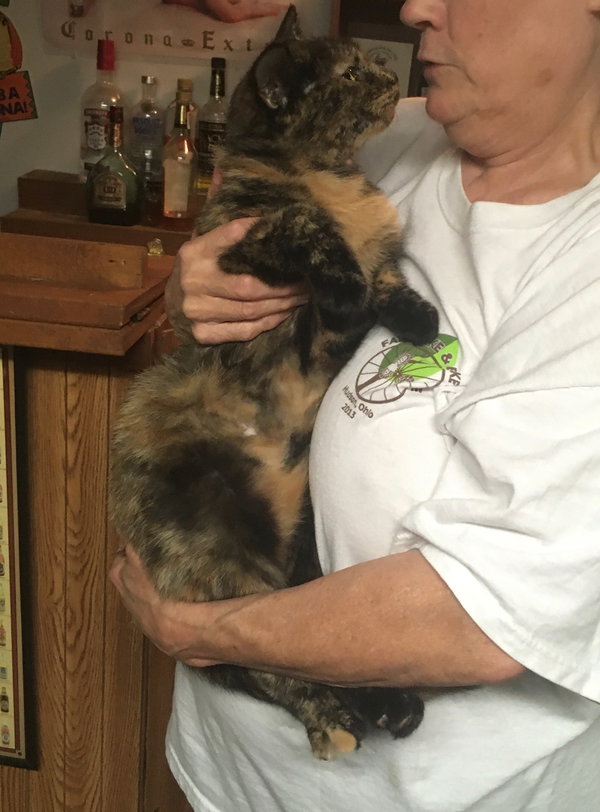 Rhoda