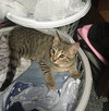 Peaches - Photo 4