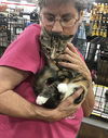 adoptable Cat in macedonia, OH named Pineapple bonded (see desription)