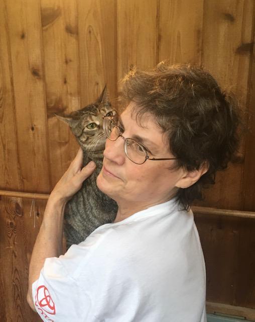 adoptable Cat in Macedonia, OH named Kimberly / Janey / Nellie