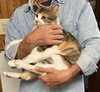 Marla bonded with Mervin - Photo 2
