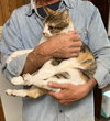 Marla bonded with Mervin - Photo 3