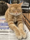 Baxter - Photo 5