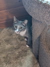Simon bonded with Erica - Photo 4