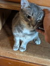 Erica bonded with Simon - Photo 2