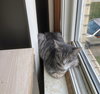Erica bonded with Simon - Photo 4