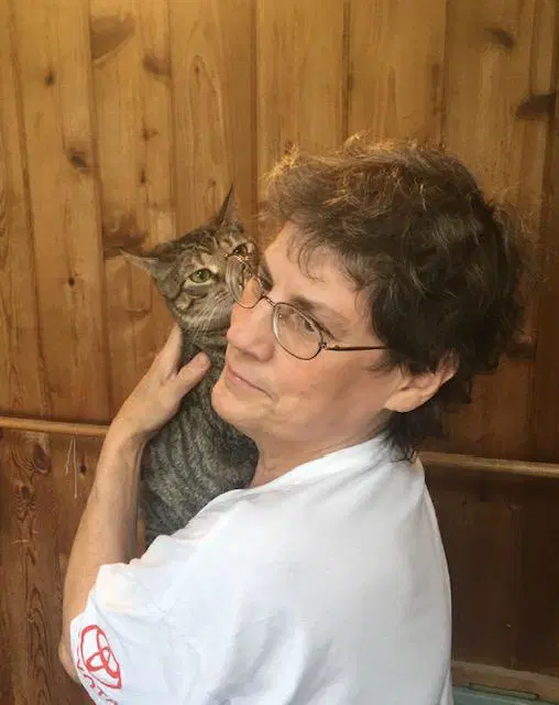 Kimberly Bonded With Nellie - Domestic Short Hair