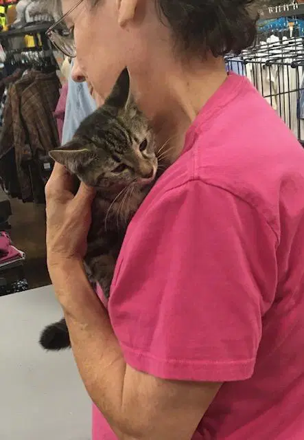 Kimberly Bonded With Nellie image 3