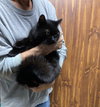 CoCo - Photo 3