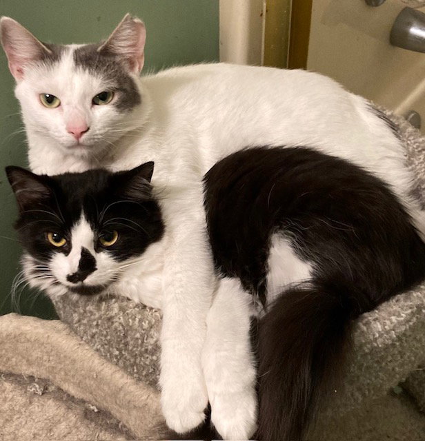 Mallory bonded with Fran Image