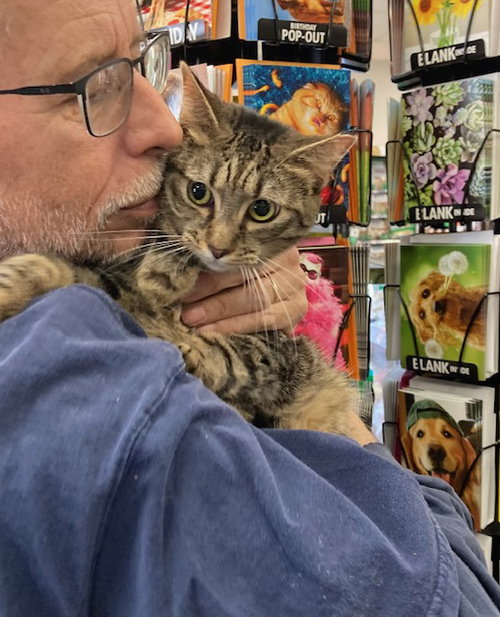 Little Cuyie bonded with Meribeth, an adoptable Domestic Short Hair in Macedonia, OH