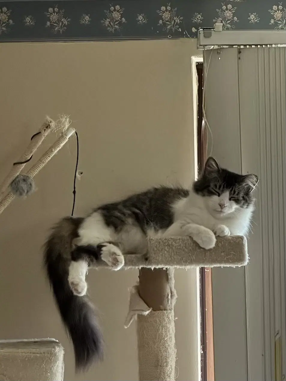 Max And Luna Bonded image 3