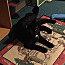 Midnight bonded wth Ricardo, photo 2