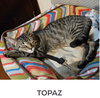 TOPAZ - Photo 1
