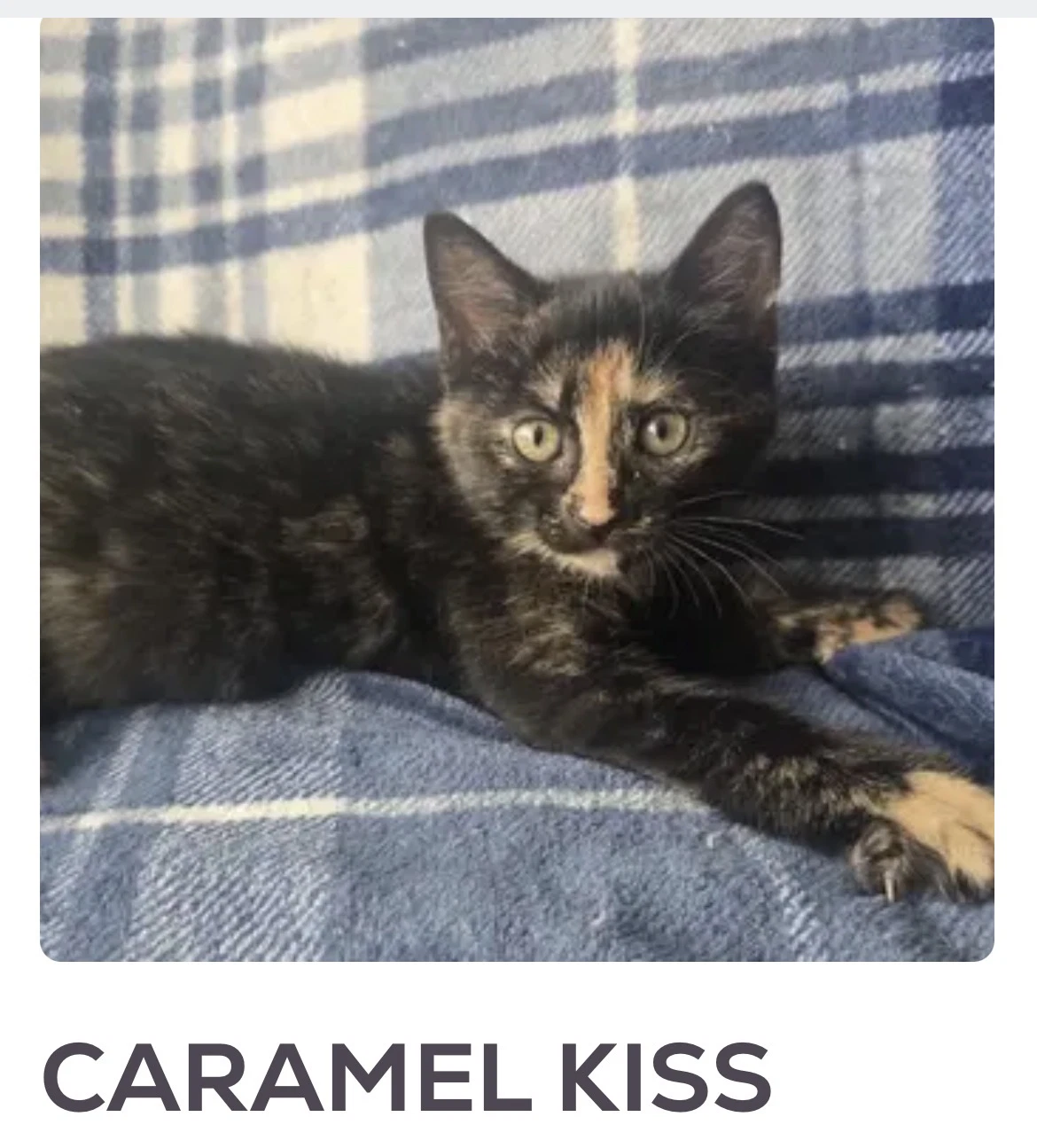 Caramel Kiss