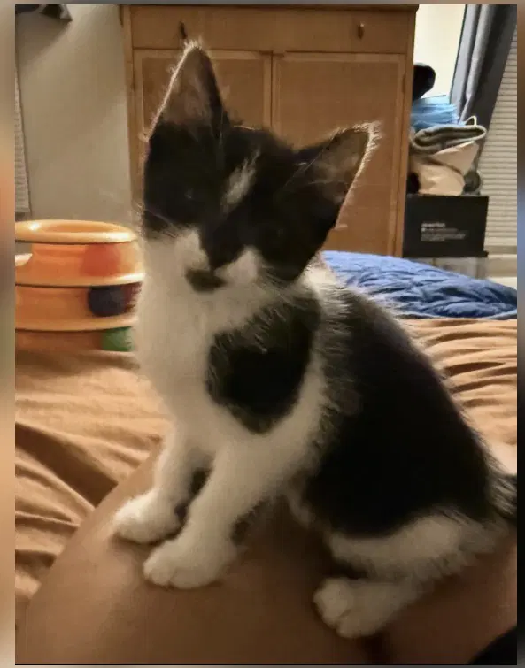 Jersey image 3