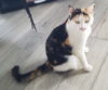 Maggie