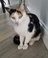 Maggie