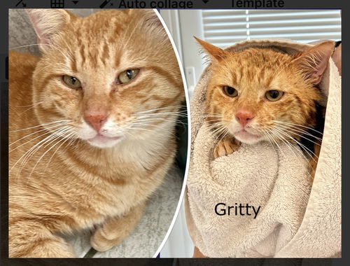 Gritty RH