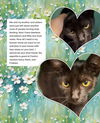 adoptable Cat in Boca Raton, FL named Praline DMG